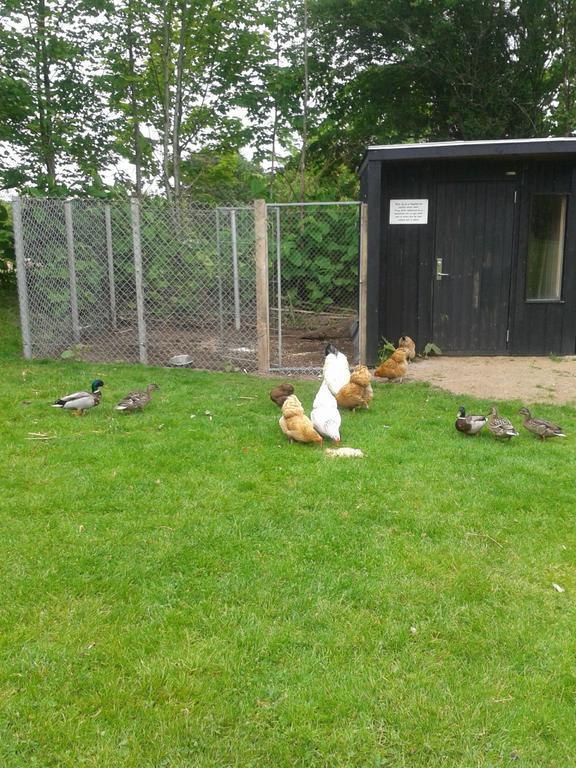 Billund Farm Holiday Экстерьер фото